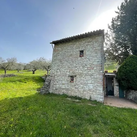 Tor Dei Mammoni * Assise